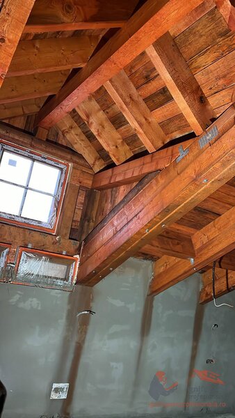 Igniprofessional - Lucrari ignifugare si aseptizare lemn