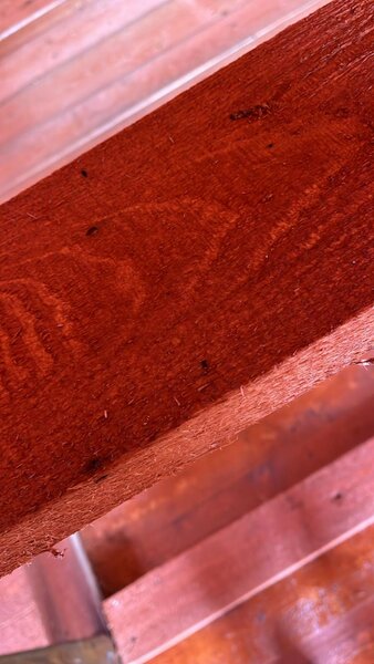 Igniprofessional - Lucrari ignifugare si aseptizare lemn